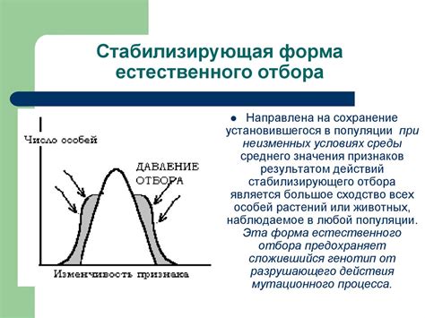 Стабилизирующая функция