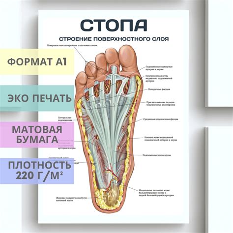 Строение поверхностного слоя