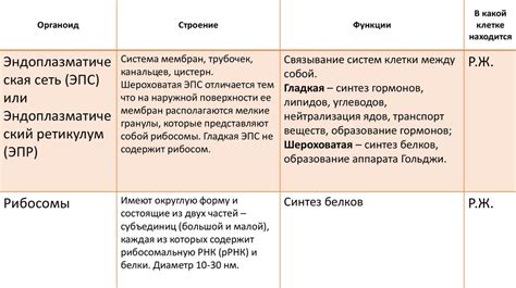 Строение таблицы и ее значение