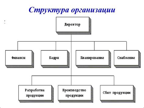 Структура и подразделения