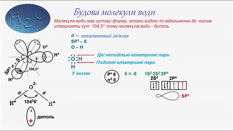 Структура и химические свойства