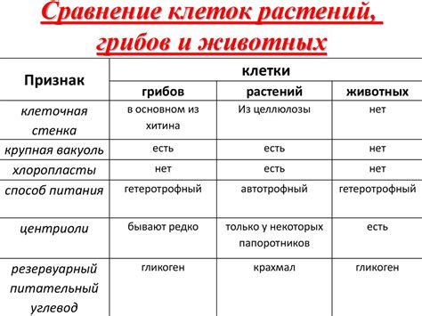 Сходства и различия