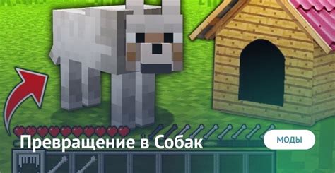 Тайный мир собак в Minecraft