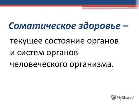 Текущее состояние организма и обменные процессы