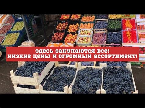 Телефон Андромеда в Рязани: функциональность, ассортимент, цены