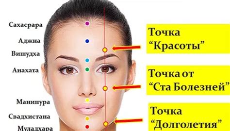 Телефон Точки Красоты Ривьера: высокое качество связи