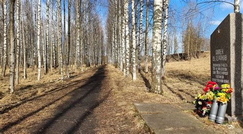 Телефон в Павловском городском поселении