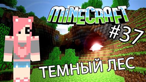 Темный лес в Minecraft команда