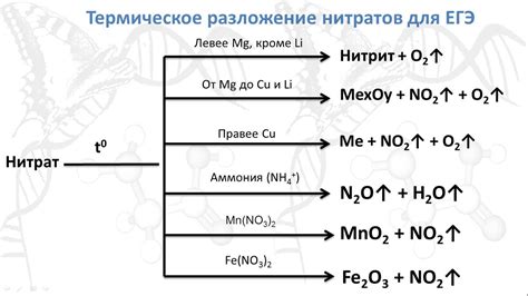 Термическое разложение нитратов магния