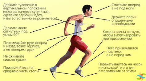 Техника правильного загибания