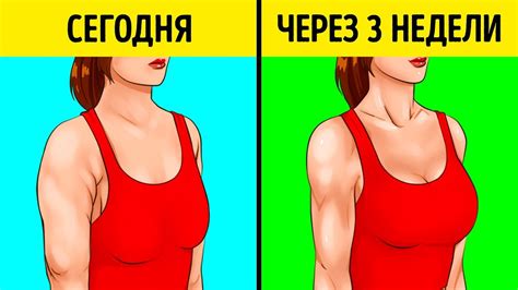 Техники использования мода "Enlarge Chest" для эффективного увеличения груди