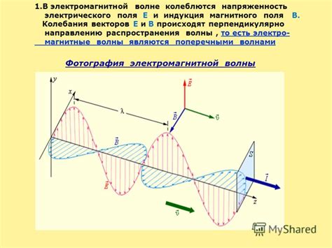 Технологии левитации: магнитное поле и акустические волны