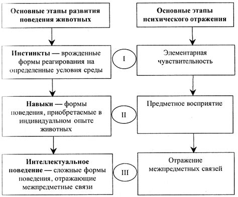 Технология и этапы процесса