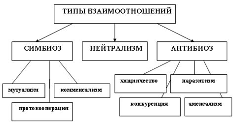 Типы взаимодействий между металлами и H2SO3