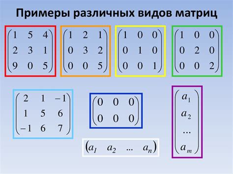 Типы матриц и их особенности