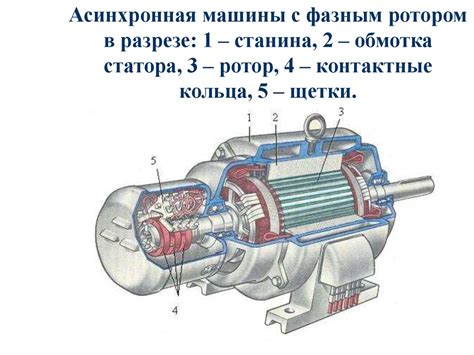 Типы электрических зачистных машинок