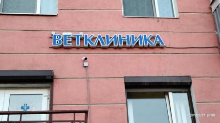 Тихвинская ветеринарная городская клиника