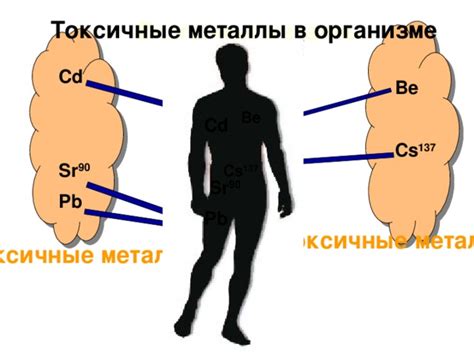 Токсичные тяжелые металлы в грунте