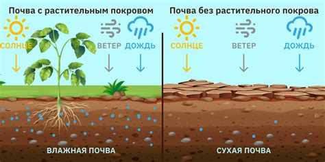 Токсичный эффект на почву