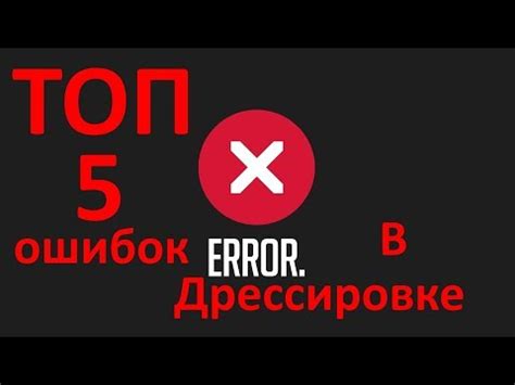 Топ-5 ошибок при дрессировке лучей и как их избежать