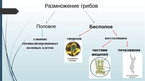 Требования для размножения