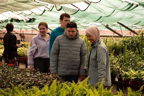 Трест зеленого хозяйства телефон и его значение