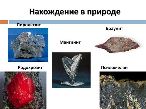 Третья группа: марганец и железо