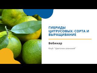 Удивительное многообразие вкусов