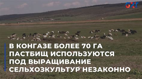 Удобное выращивание сельхозкультур