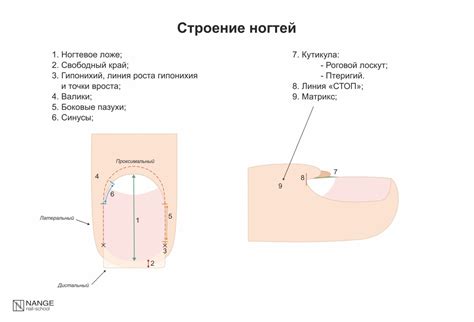 Удобное местоположение точки маникюра на Бабушкинской