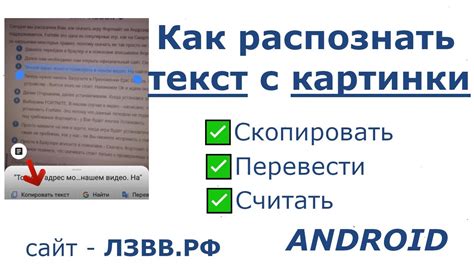 Удобство чтения текста с чуйским ощущением на современных телефонах