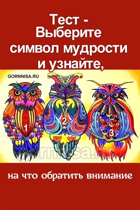 Узнайте, на что обратить внимание в каждой версии