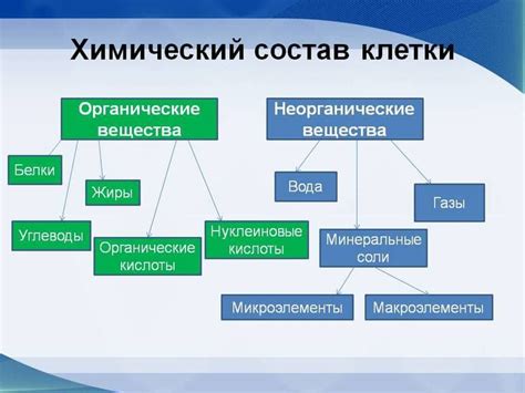 Узнайте о главных особенностях и функциях