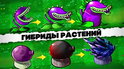 Улучшение геймплея с помощью мода Plants vs Zombies