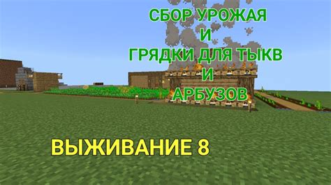 Улучшение шансов выживания