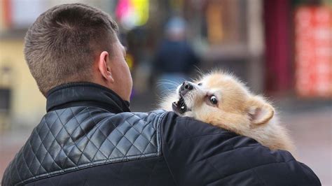 Уникальное взаимодействие