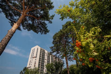 Уникальное местоположение санатория "Соколиная гора"