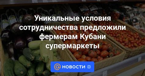 Уникальные условия сотрудничества