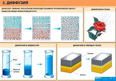 Упорядоченные и неупорядоченные фазы металлов