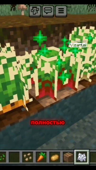 Ускорение роста травы в Minecraft