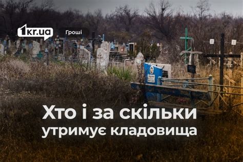 Услуги по уходу за водопроводом