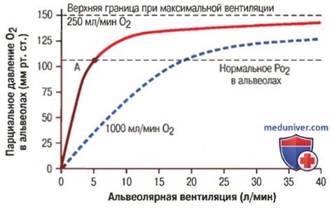 Установите правильное давление кислорода