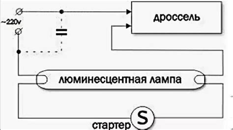 Установка арматуры G13 для люминесцентных ламп: пошаговая инструкция