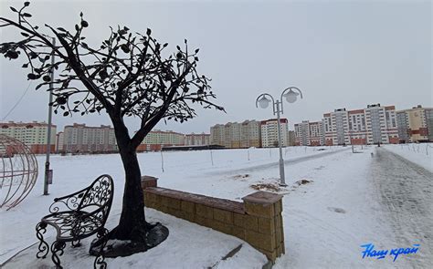 Установка маленьких фонарей на ветви деревьев