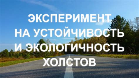 Устойчивость и экологичность метода