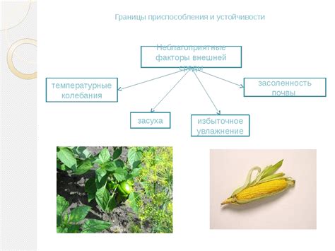 Устойчивость к воздействию внешней среды