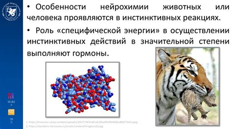 Устойчивость к воздействию факторов окружающей среды