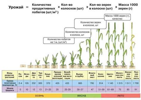 Уход за фермой и увеличение урожайности