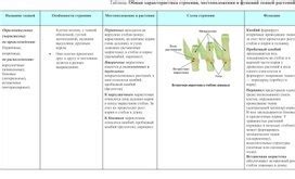 Учитывайте тематику строения и местоположения