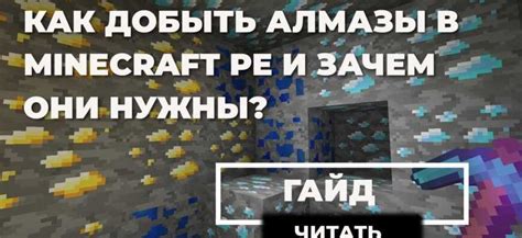 Уши на скин в Minecraft: зачем они нужны и какие бывают